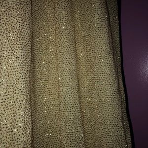 Gold/Silver Gown